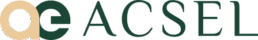 Logo of Acselnow, Acsel Inc.